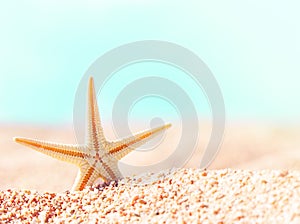 Starfish on sand dunes. Summer beach, behind the sea, sunny. Relax, sea, travel