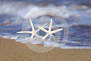 Starfish in the Sand With Seafoam Waves