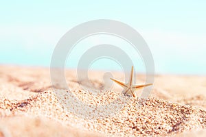 Starfish on sand summer beach, behind the sea, sunny. Relax, sea, travel