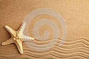 Starfish on the sand, summertime. Top view