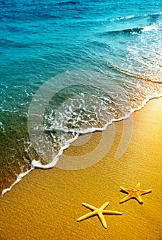 Starfish, sand and wave