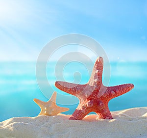 Starfish on a sandy tropical beach.Summer concept