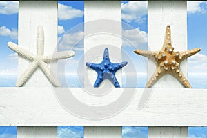 Starfish at sea on beach on vintage boards