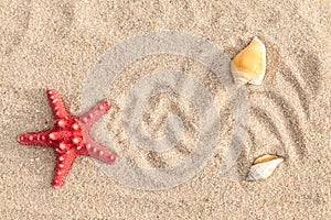 Starfish and sea shells with sand