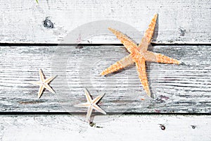 Starfish or sea star background