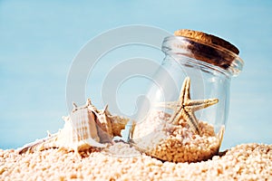 Starfish in a sealed glass jar, sea shell on the shore against the blue sky on a sunny day
