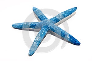 Starfish seashell