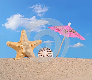 Starfish and seashell on a beach sand