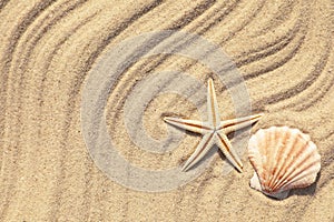Starfish and seashell on beach sand with wave , top view. Space for text