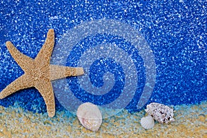 Starfish and seashell on blue sea background