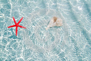 Starfish and seashell in clea white sand beach