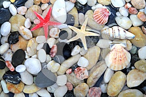 Starfish, seashell, and colorful pebble stones