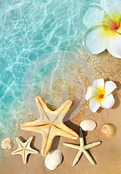 Starfish, seashell and flower on the summer beach in sea water. Summer background.