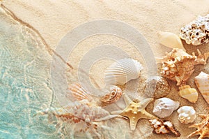 Starfish and seashell on the summer beach in sea water. Summer background. Summer time.