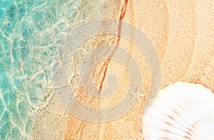 Starfish and seashell on the summer beach in sea water. Summer background. Summer time.