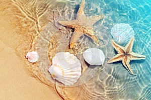 Starfish and seashell on the summer beach in sea water. Summer background.