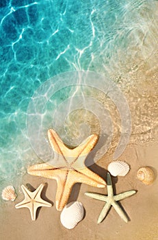 Starfish and seashell on the summer beach in sea water. Summer background.