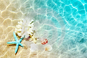 Starfish and seashell on the summer beach in sea water. Summer background. Summer time.