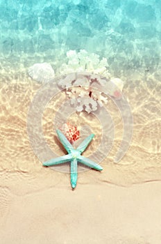 Starfish and seashell on the summer beach in sea water. Summer background. Summer time.