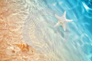 Starfish and seashell on the summer beach in sea water.