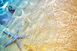 Starfish and seashell on the summer beach in sea water.