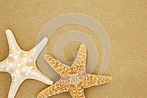Starfish Seashells on Beach Sand