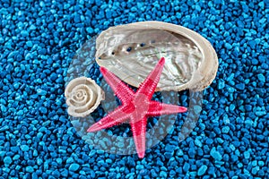 Starfish and seashells on blue background