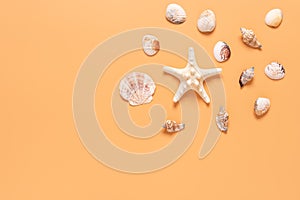 Starfish and seashells on a pastel yellow background. Top view, flat lay. Beautiful summer beach background