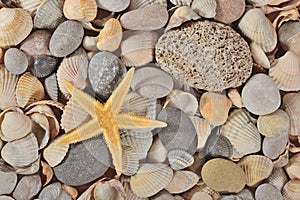 Starfish, seashells and pebbles