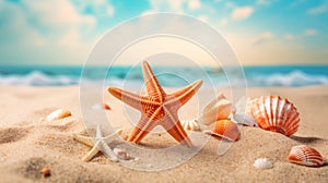 starfish and seashells in the sand at the beach