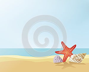 Starfish and seashells on the sand near the ocean. Summer on the beach creative illustration