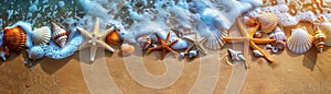 Starfish and seashells on a sandy beach