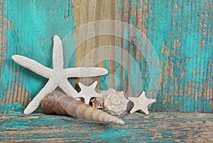 Starfish and seashells on shabby wooden background in turquoise