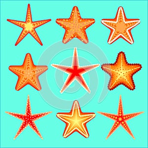 Starfish, a set of nine options