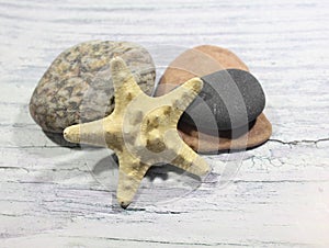 Starfish and several sea stones on a light background.