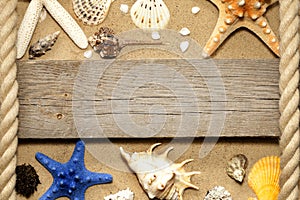 Starfish and shells on beach with empty board