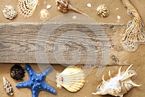 Starfish and shells on beach with empty board