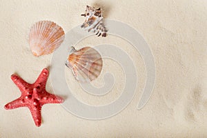 starfish and shells on the beach  vacation memories