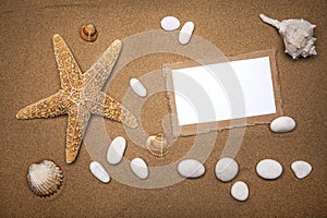 Starfish and shells with frame on the beach