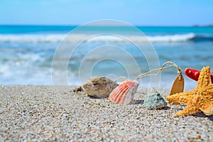 Starfish and shells on the sand