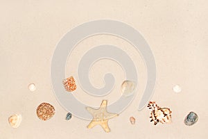 Starfish and shells on the sand as a background. Copyspace. Summer beach.
