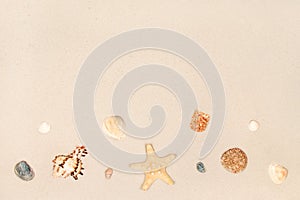 Starfish and shells on the sand as a background. Copyspace. Summer beach.