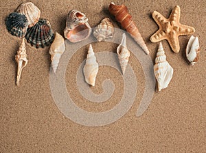 Starfish and shells with sand as background. Sand texture