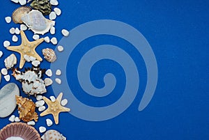 Starfish with Shells and stones Against a Blue Background with Copy Space. Summer Holliday. Nautical, Marrine concept.