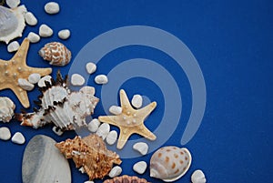 Starfish with Shells and stones Against a Blue Background with Copy Space. Summer Holliday. Nautical, Marrine concept. photo