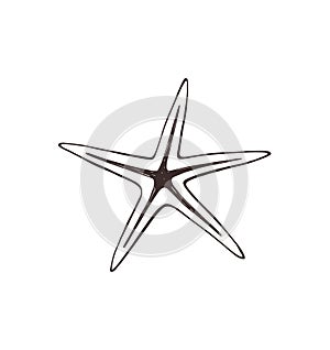 Starfish sketch collection vector illustration