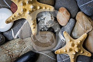 Starfish and stones