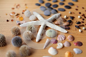 Starfish and stones- decoration
