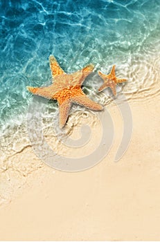 Starfish on the summer beach in sea water. Summer background.