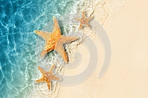 Starfish on the summer beach in sea water. Summer background.